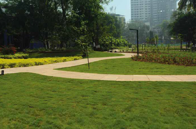 Beautiful Public Garden